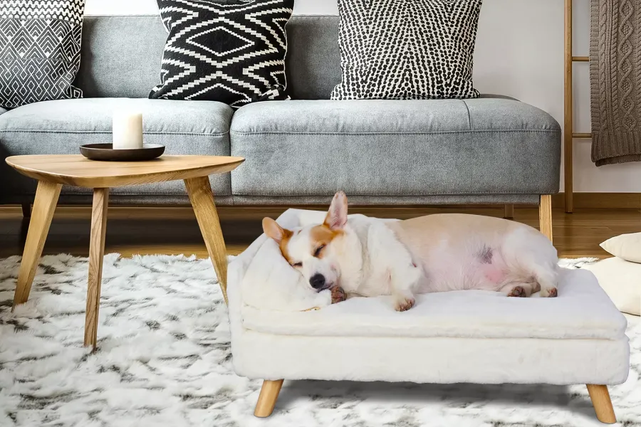 Luxury Raised Pet Bed