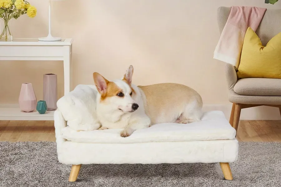 Luxury Raised Pet Bed