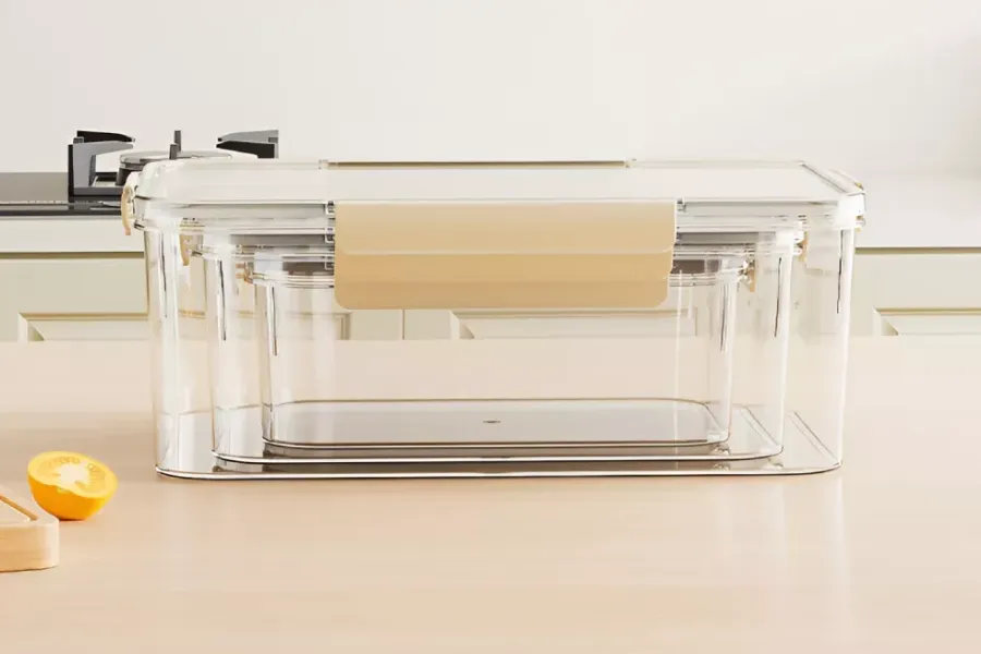 Transparent Storage Box